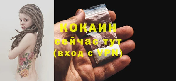 стаф Мегион