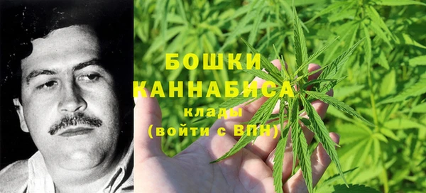 стаф Мегион