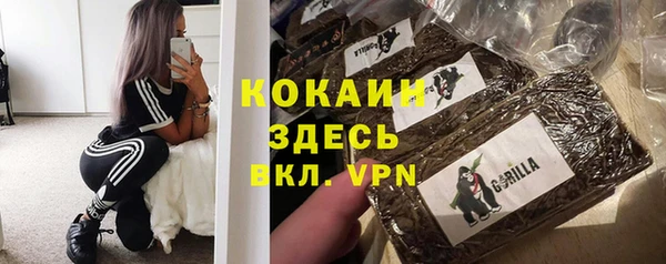стаф Мегион