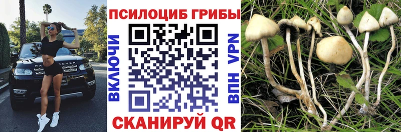 Галлюциногенные грибы GOLDEN TEACHER  что такое   Сортавала 